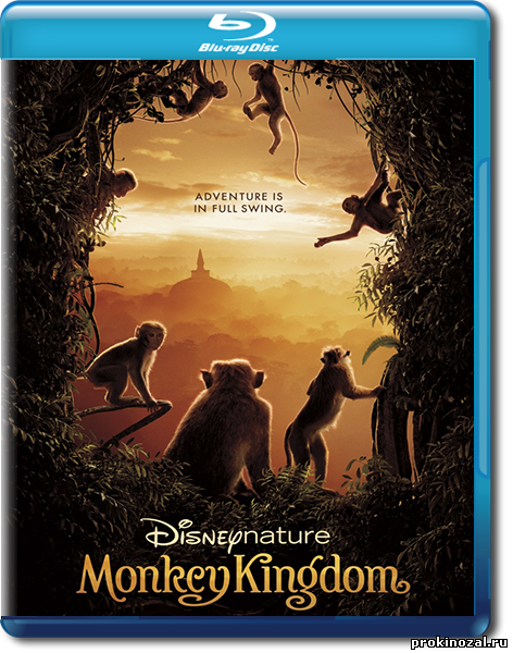 Королевство обезьян (2015)