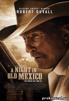 Ночь в старой Мексике (2013)